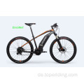 Customized Nakto Electric Bike
